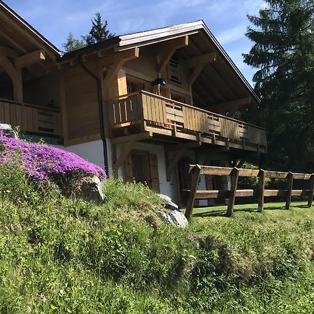 Le Troll - Alpehytte Nendaz